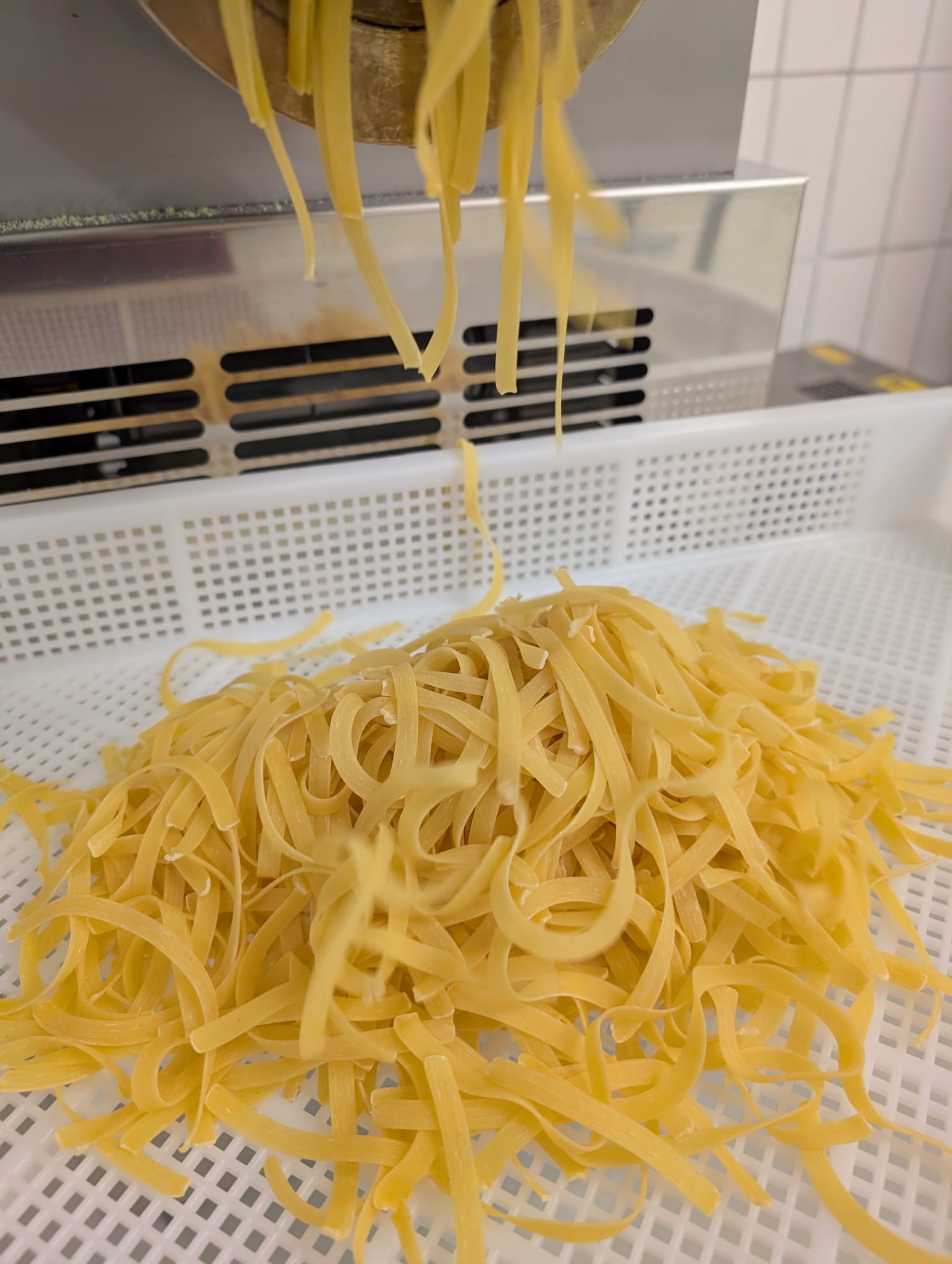 Frische Bandnudeln kommen aus unserer Nudelmaschine